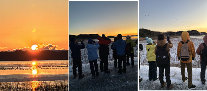 伊豆沼の野鳥観察 (1)